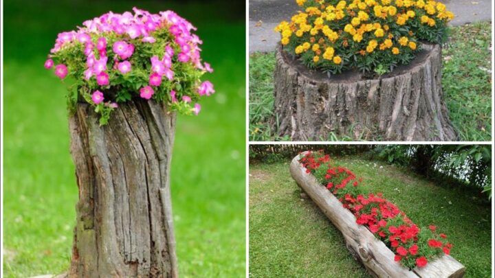 como decorar un tronco seco de arbol ideas creativas