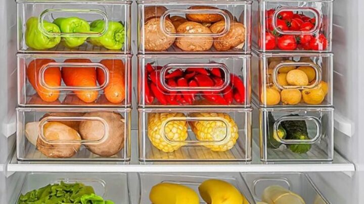 como organizar la comida para conseguir nevera limpia y saludable