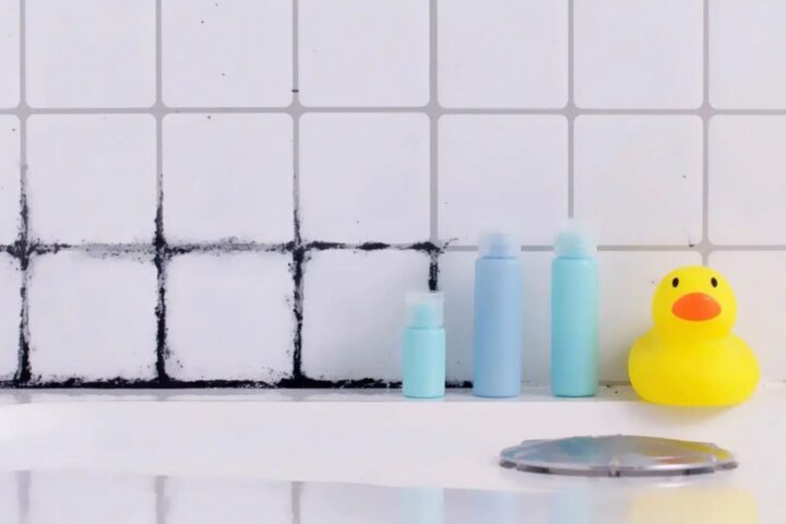 consejos para limpiar moho de paredes una guia paso a paso