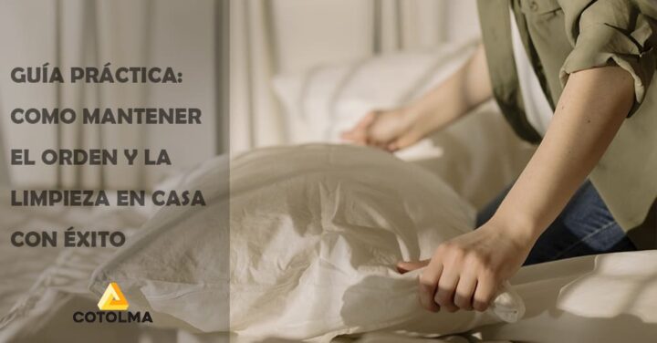 consejos para limpieza profesional de casas guia practica