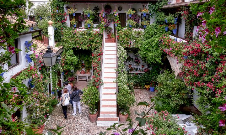 estos patios