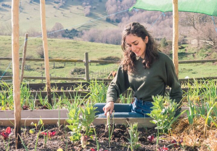 organizar un huerto pasos para crear un jardin fertil